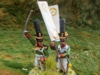 SMALL Napoleonic 35   2018